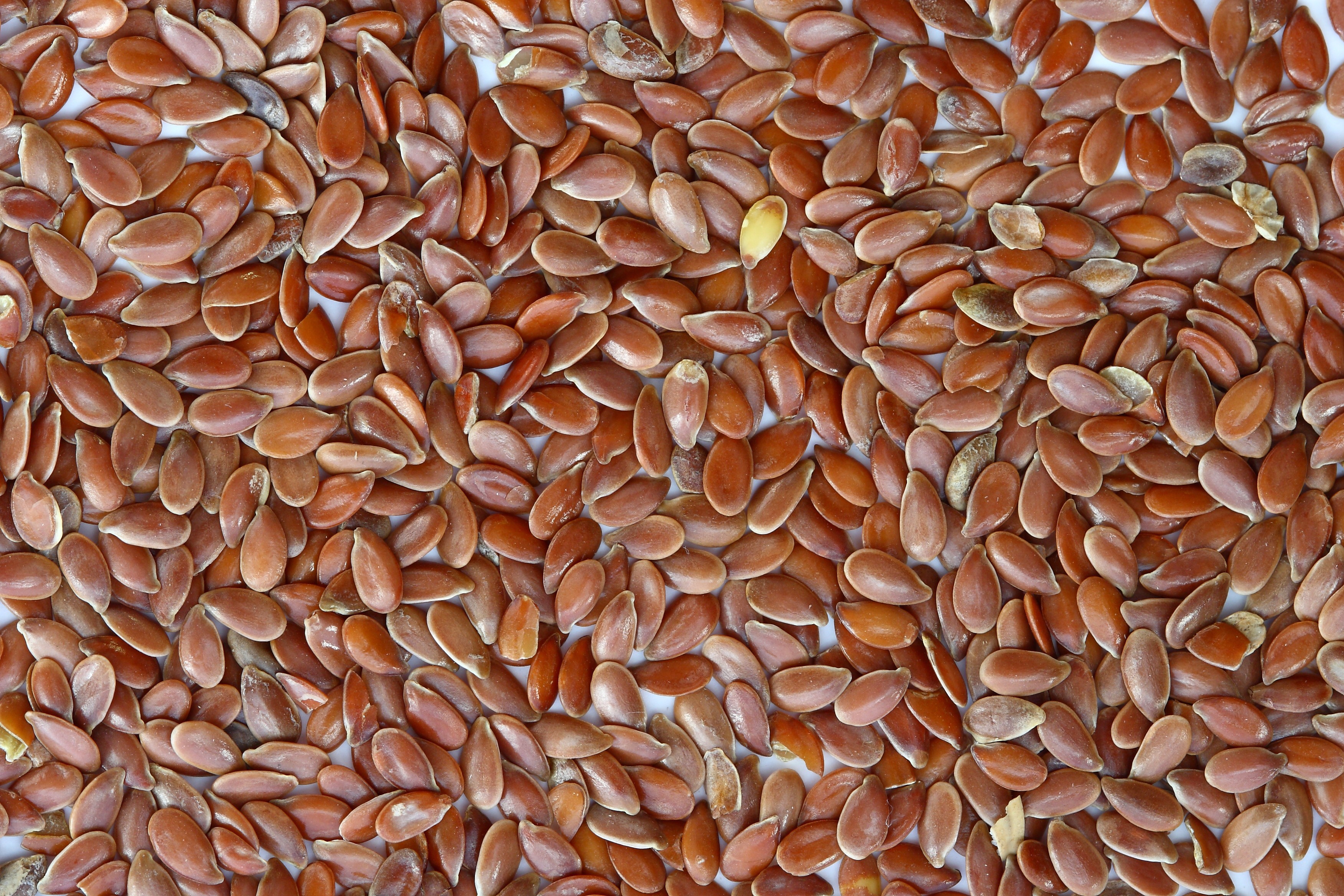 Brown_Flax_Seeds.jpg