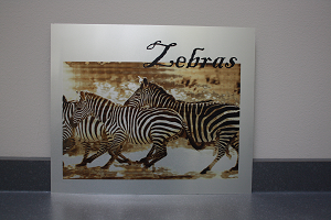 Pre Coated Aluminium For Immediate Black Laser Marking South Africa