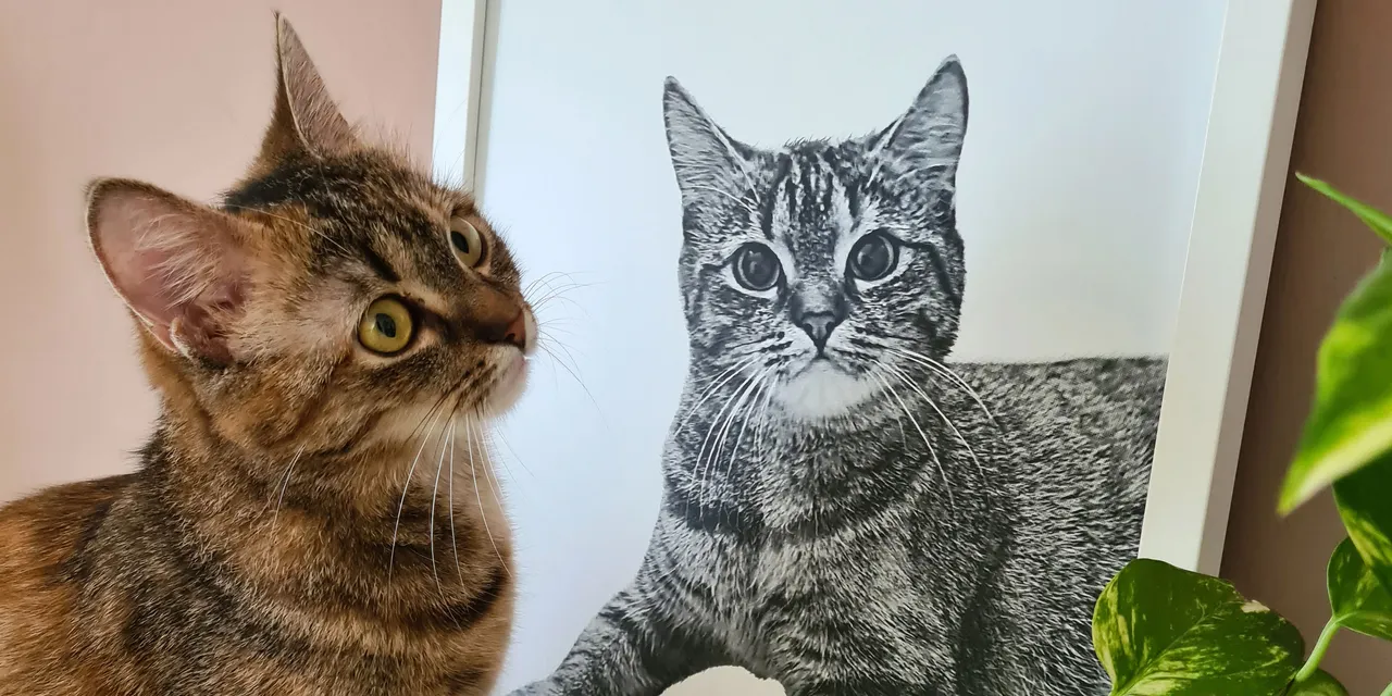 Tabby cat next to detailed laser-engraved cat portrait, likely made with Trotec laser engraving machine