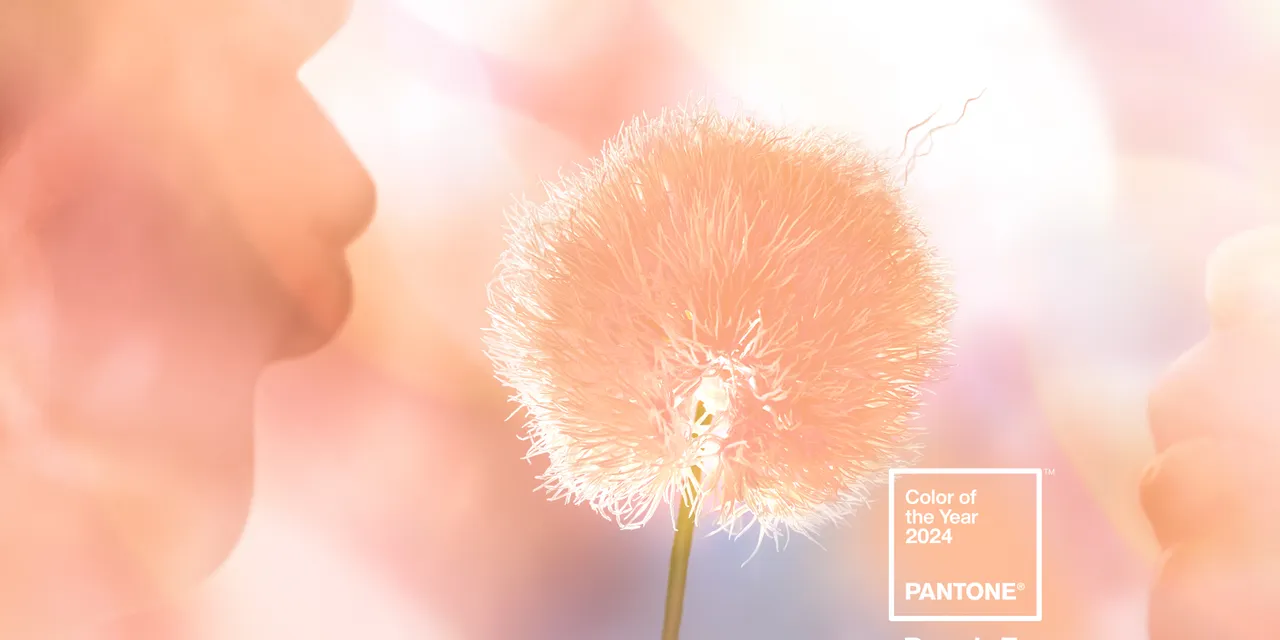 Pantone Color of the Year 2024 Peach Fuzz 13-1023 with soft floral and human silhouettes