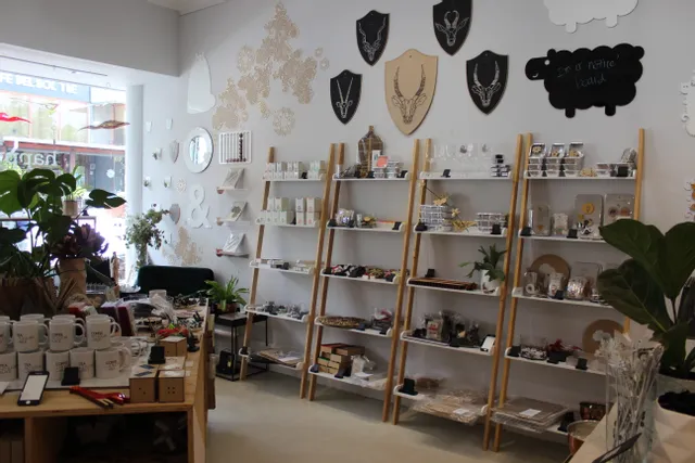 Grünes Gras Design Shop