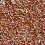 en Brown Flax Seeds