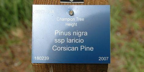 Laser engraved labels for each plant at Mount Stuart Trust