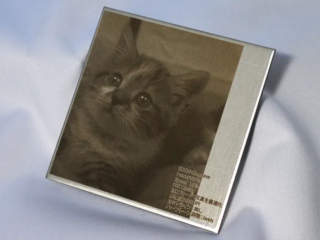 Laser-engraved cat photo on metal plate using Trotec engraving machine