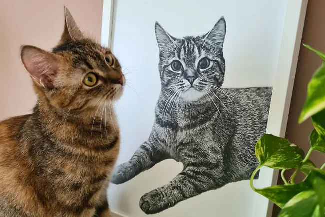 Tabby cat next to detailed laser-engraved cat portrait, likely made with Trotec laser engraving machine